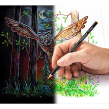 Lade das Bild in den Galerie-Viewer, Design Journey 149C super soft Farbstift Kartonetui mit 12 Farbstiften in sortierten Farben
