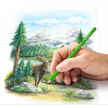 Lade das Bild in den Galerie-Viewer, STAEDTLER® 146C Farbstift Metalletui mit Farbstiften in sortierten Farben