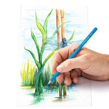 Lade das Bild in den Galerie-Viewer, STAEDTLER® 146 10C Wasservermalbarer Farbstift Kartonetui mit 48 Aquarellstiften in sortierten Farben